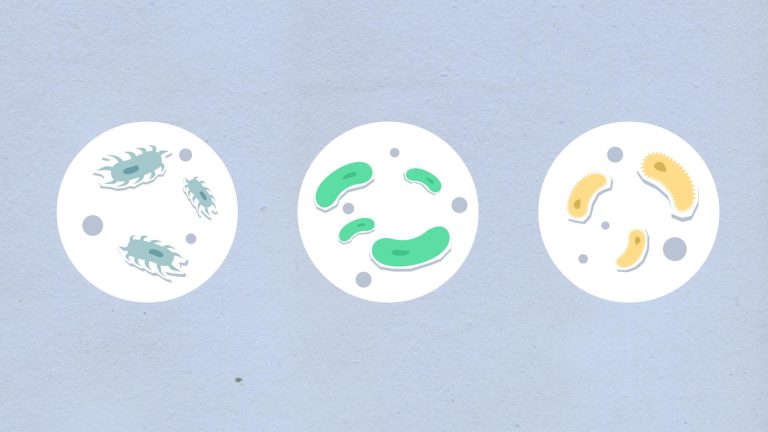 Bongkar Rahasia Jasa Service Inflatable Liferaft Solas Terbaik yang Bisa Selamatkan Hidup Anda di Tengah Laut